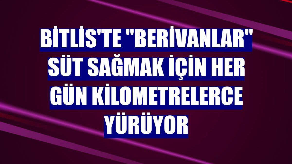 Bitlis'te "berivanlar" süt sağmak için her gün kilometrelerce yürüyor