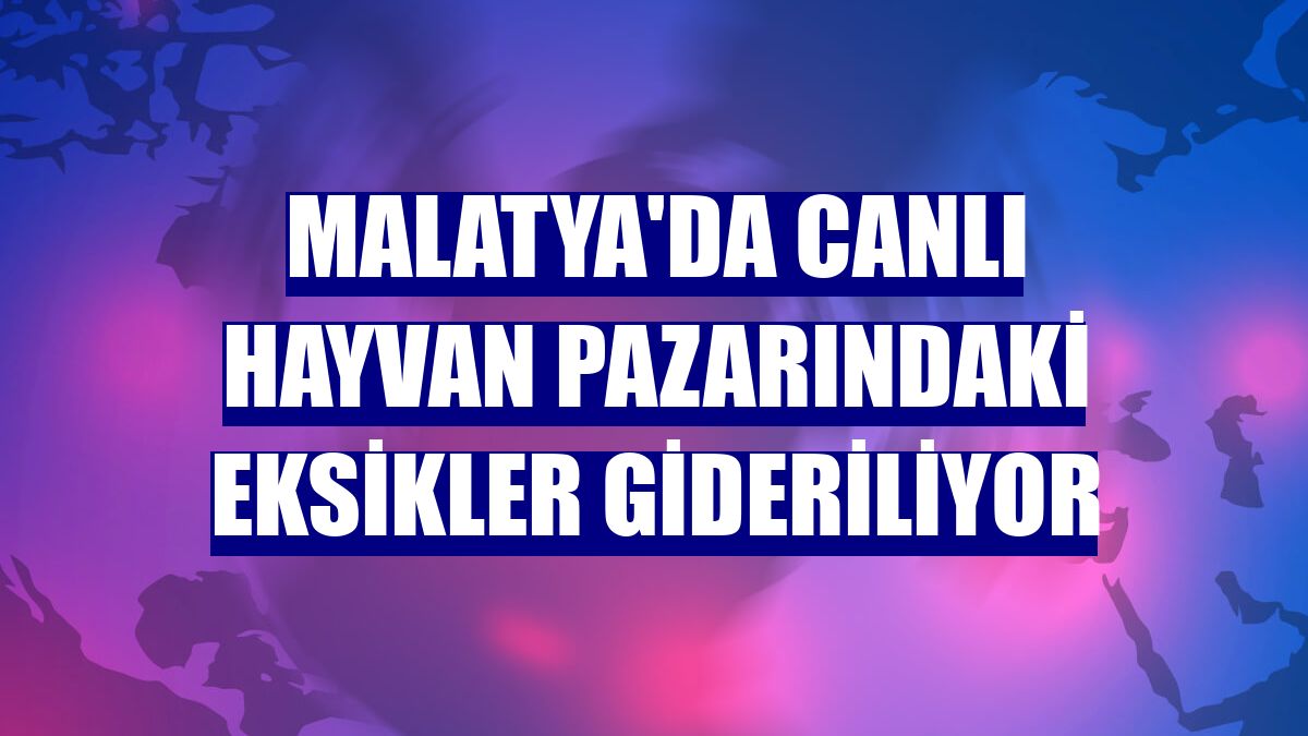 Malatya'da canlı hayvan pazarındaki eksikler gideriliyor