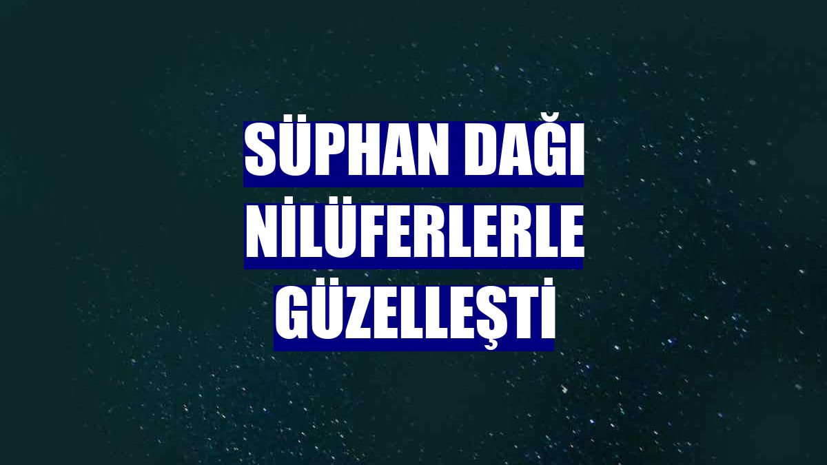 Süphan Dağı nilüferlerle güzelleşti