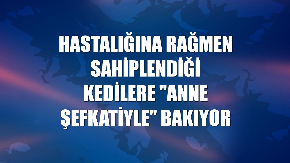 Hastalığına rağmen sahiplendiği kedilere "anne şefkatiyle" bakıyor