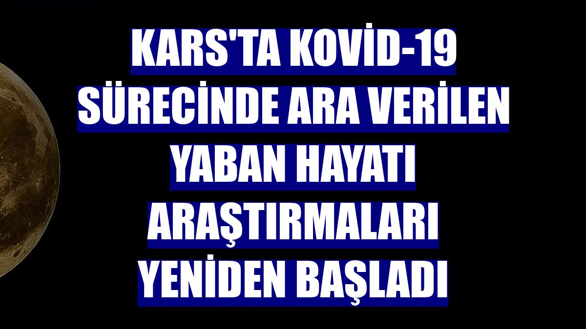 Kars'ta Kovid-19 sürecinde ara verilen yaban hayatı araştırmaları yeniden başladı