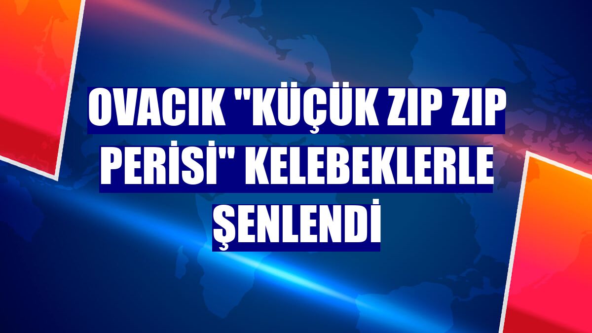 Ovacık "küçük zıp zıp perisi" kelebeklerle şenlendi