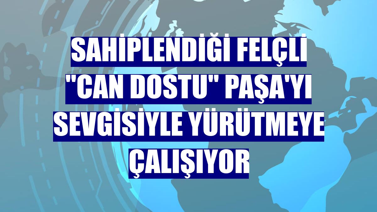 Sahiplendiği felçli "can dostu" Paşa'yı sevgisiyle yürütmeye çalışıyor
