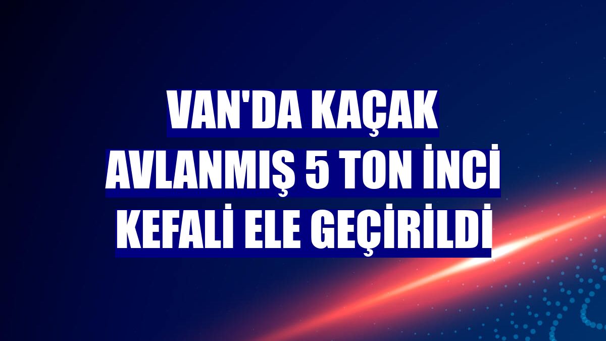 Van'da kaçak avlanmış 5 ton inci kefali ele geçirildi