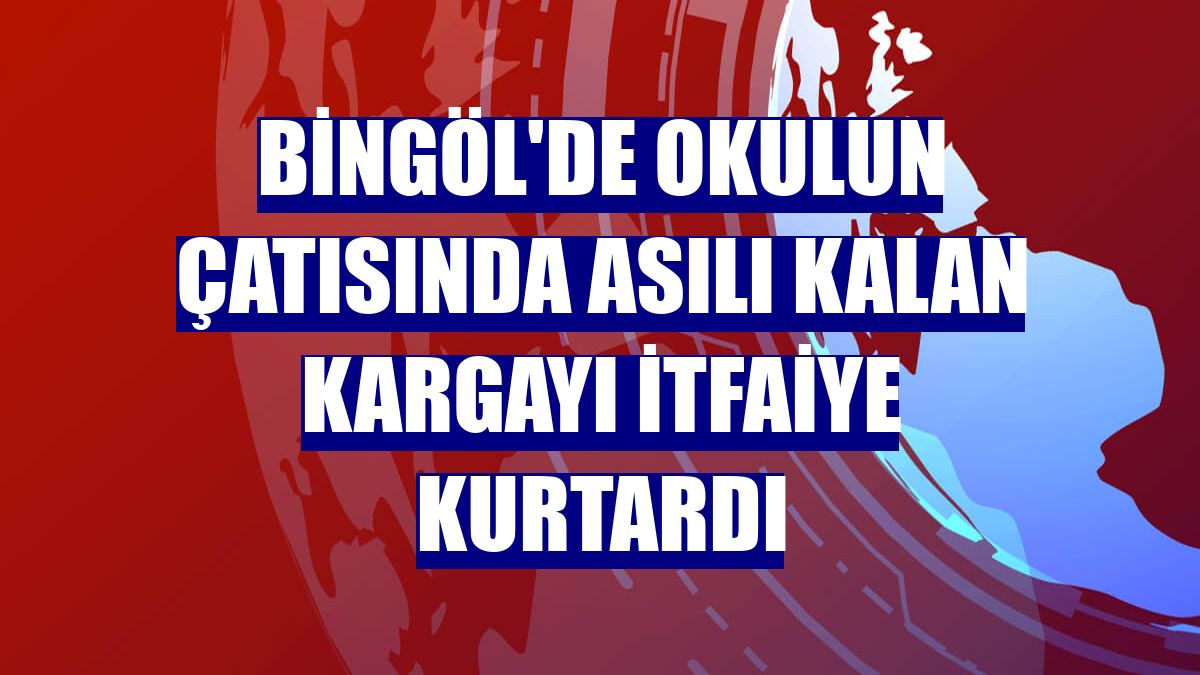 Bingöl'de okulun çatısında asılı kalan kargayı itfaiye kurtardı