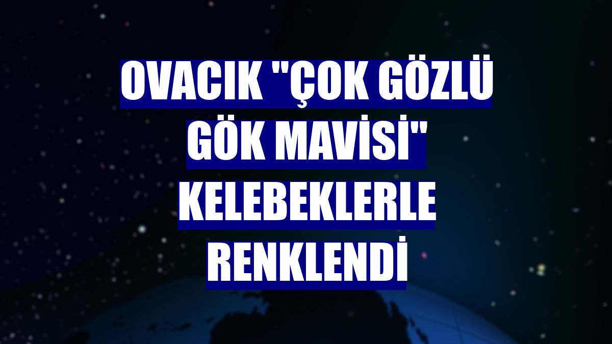 Ovacık "çok gözlü gök mavisi" kelebeklerle renklendi