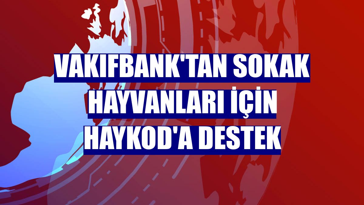 VakıfBank'tan sokak hayvanları için HAYKOD'a destek