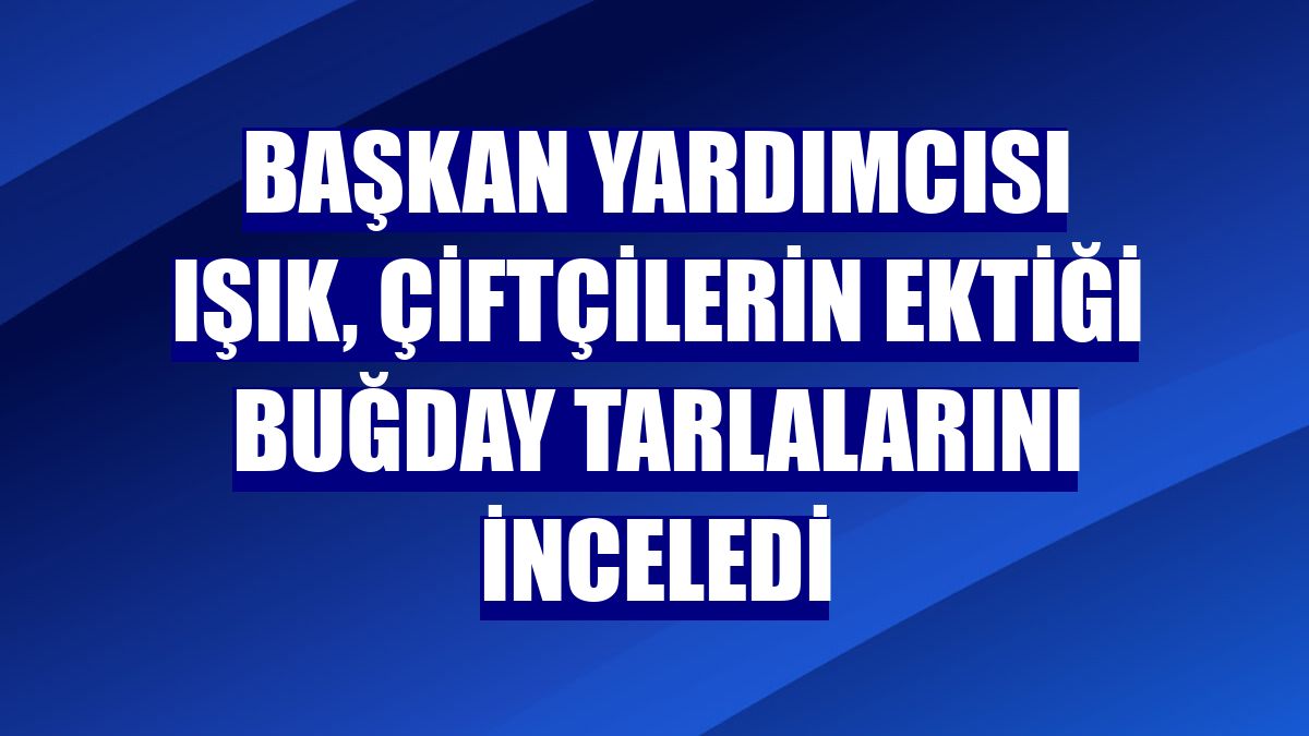 Başkan Yardımcısı Işık, çiftçilerin ektiği buğday tarlalarını inceledi