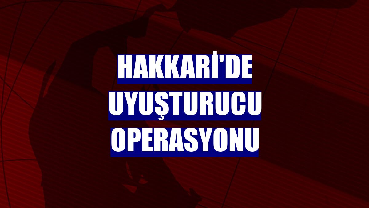 Hakkari'de uyuşturucu operasyonu