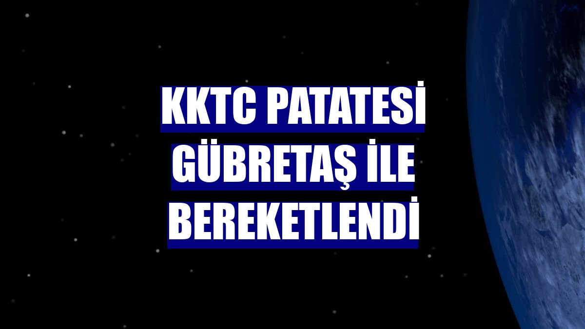 KKTC patatesi GÜBRETAŞ ile bereketlendi