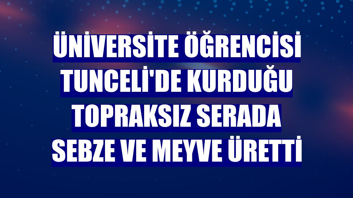 Üniversite öğrencisi Tunceli'de kurduğu topraksız serada sebze ve meyve üretti