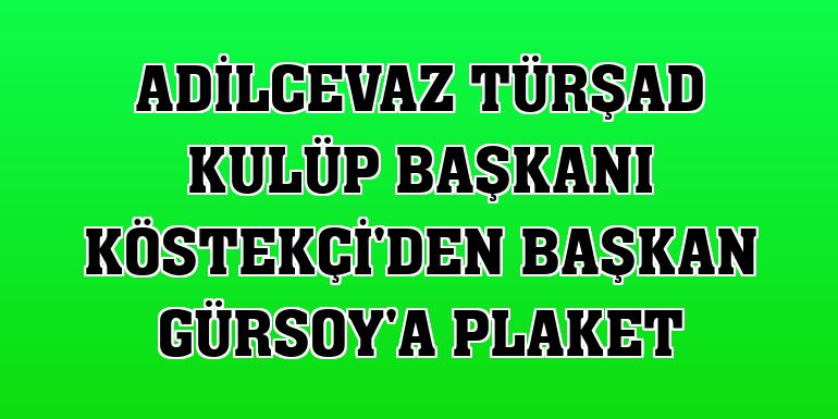 Adilcevaz TÜRŞAD Kulüp Başkanı Köstekçi'den Başkan Gürsoy'a plaket