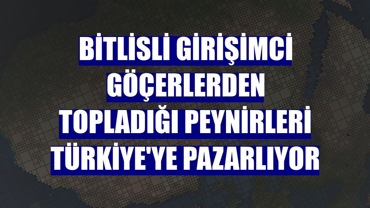 Bitlisli girişimci göçerlerden topladığı peynirleri Türkiye'ye pazarlıyor