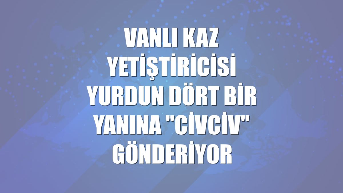 Vanlı kaz yetiştiricisi yurdun dört bir yanına "civciv" gönderiyor