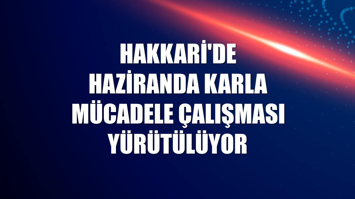 Hakkari'de haziranda karla mücadele çalışması yürütülüyor