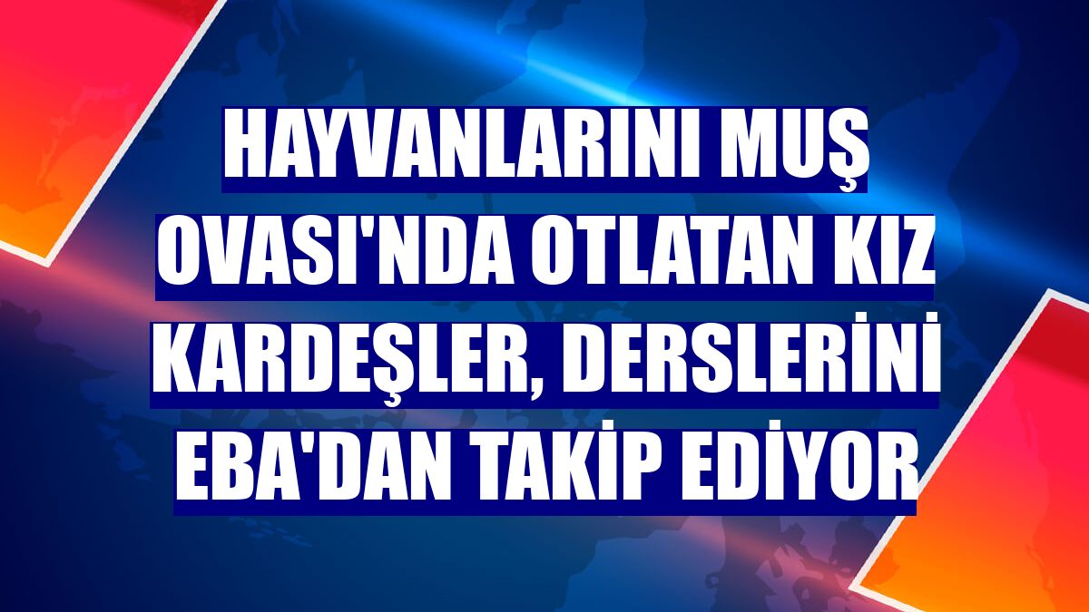 Hayvanlarını Muş Ovası'nda otlatan kız kardeşler, derslerini EBA'dan takip ediyor