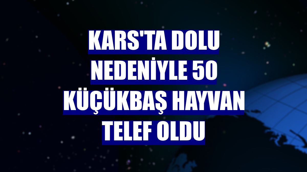 Kars'ta dolu nedeniyle 50 küçükbaş hayvan telef oldu