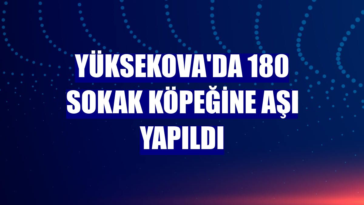Yüksekova'da 180 sokak köpeğine aşı yapıldı