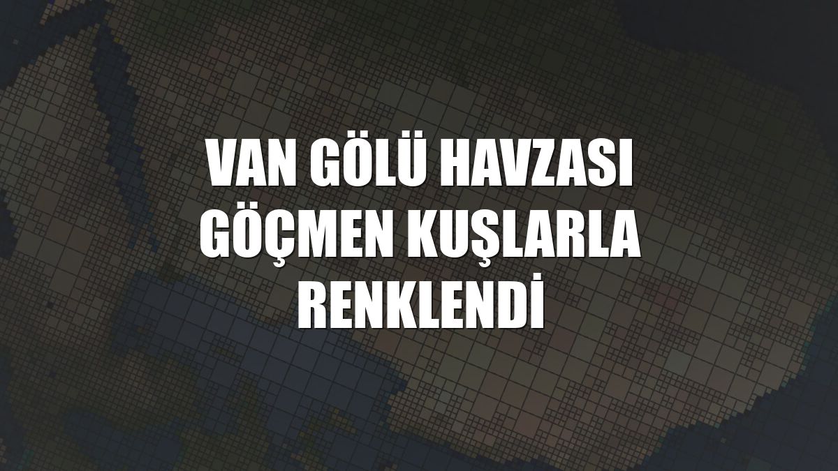 Van Gölü Havzası göçmen kuşlarla renklendi