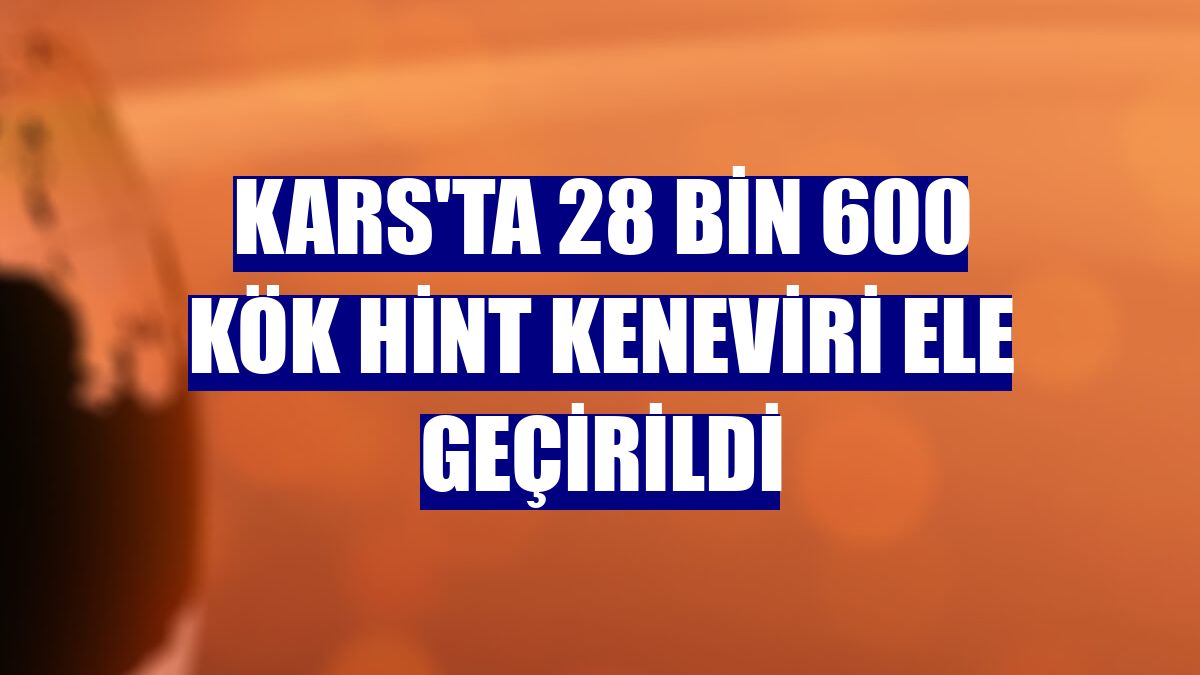 Kars'ta 28 bin 600 kök Hint keneviri ele geçirildi