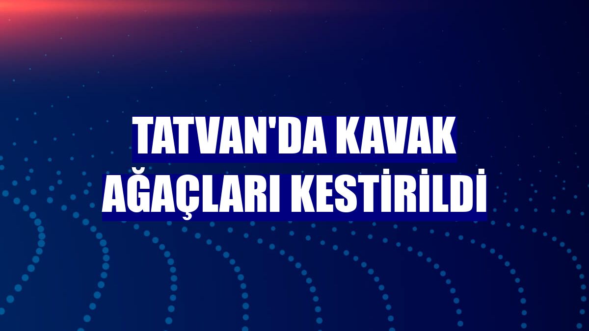 Tatvan'da kavak ağaçları kestirildi