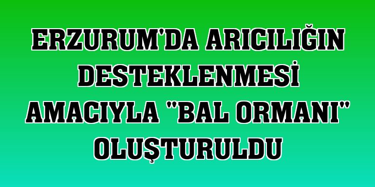 Erzurum'da arıcılığın desteklenmesi amacıyla 'bal ormanı' oluşturuldu