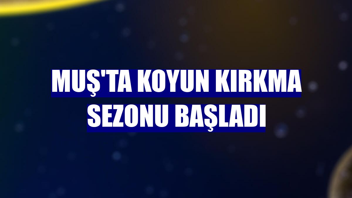 Muş'ta koyun kırkma sezonu başladı
