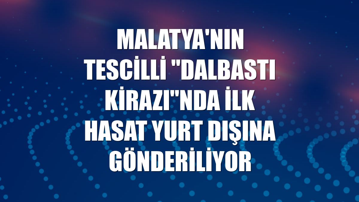 Malatya'nın tescilli "dalbastı kirazı"nda ilk hasat yurt dışına gönderiliyor