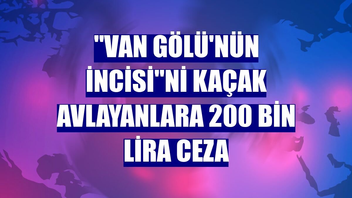 "Van Gölü'nün incisi"ni kaçak avlayanlara 200 bin lira ceza