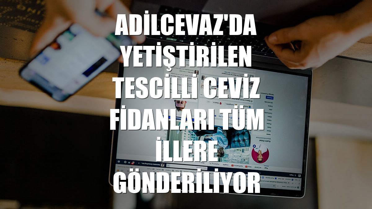 Adilcevaz'da yetiştirilen tescilli ceviz fidanları tüm illere gönderiliyor
