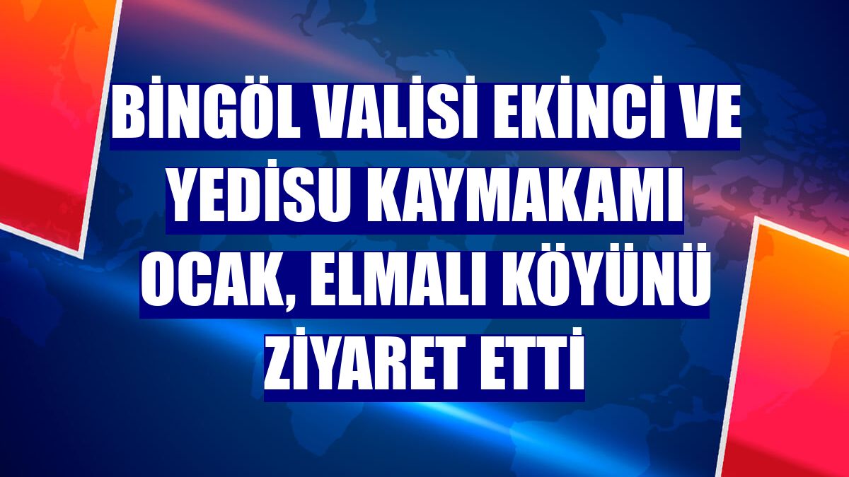 Bingöl Valisi Ekinci ve Yedisu Kaymakamı Ocak, Elmalı köyünü ziyaret etti