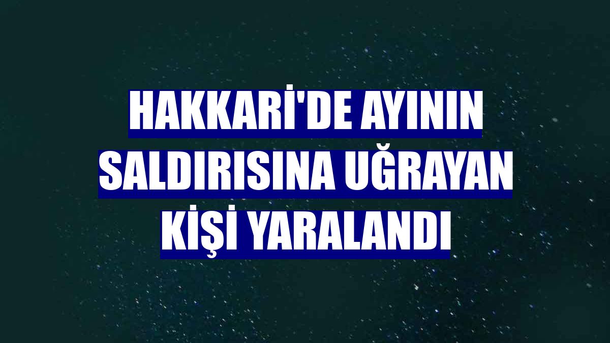 Hakkari'de ayının saldırısına uğrayan kişi yaralandı