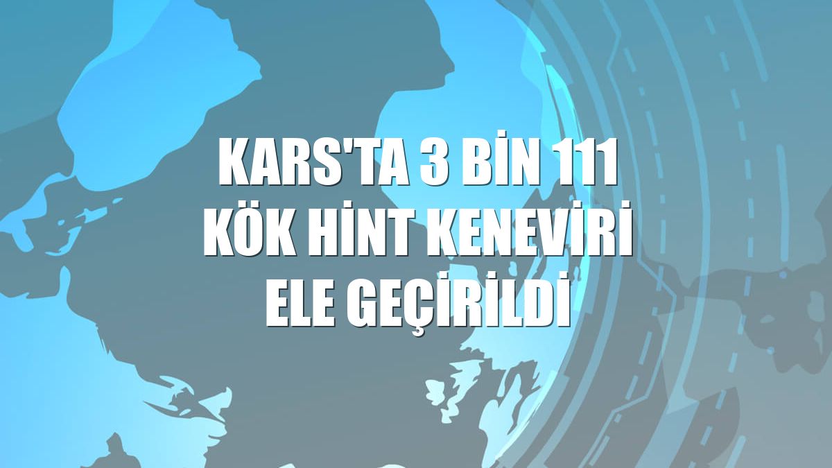 Kars'ta 3 bin 111 kök Hint keneviri ele geçirildi