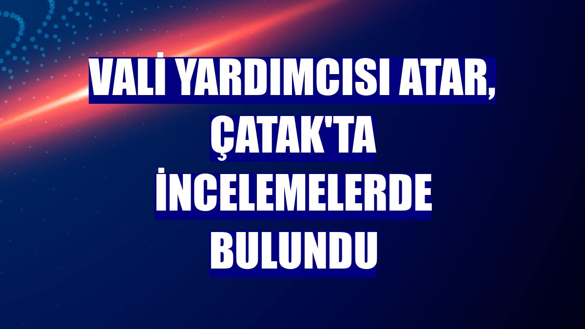 Vali Yardımcısı Atar, Çatak'ta incelemelerde bulundu