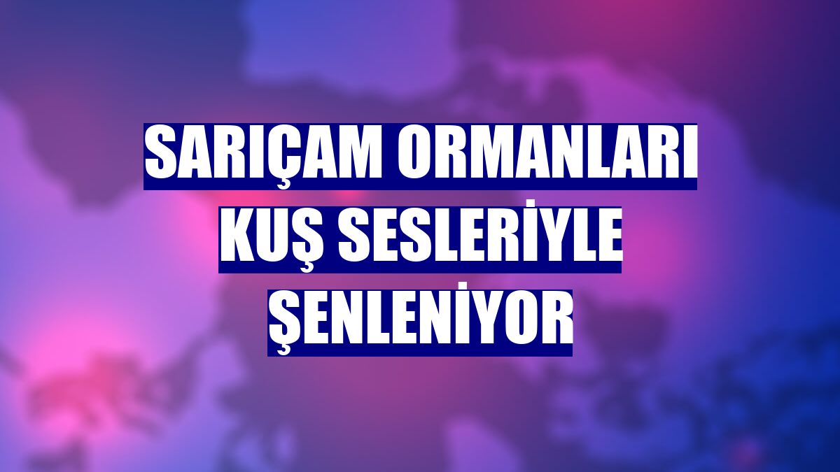 Sarıçam Ormanları kuş sesleriyle şenleniyor