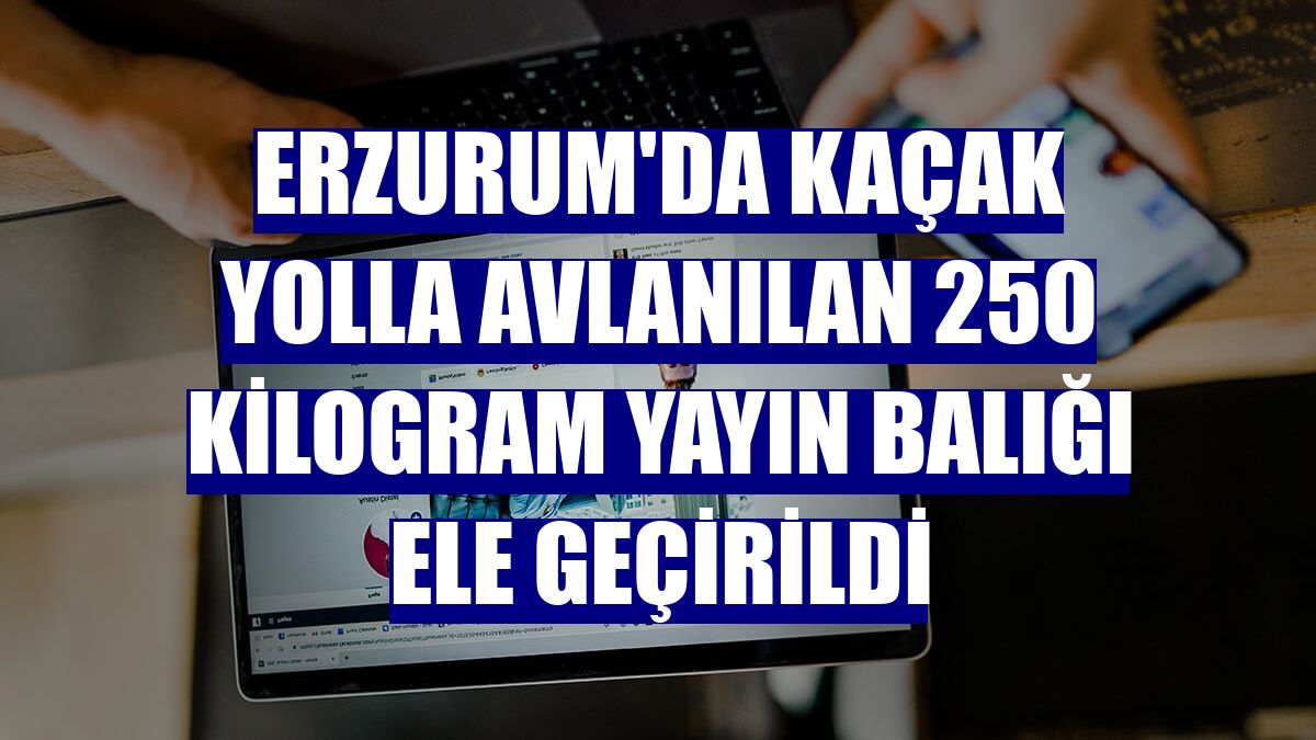 Erzurum'da kaçak yolla avlanılan 250 kilogram yayın balığı ele geçirildi