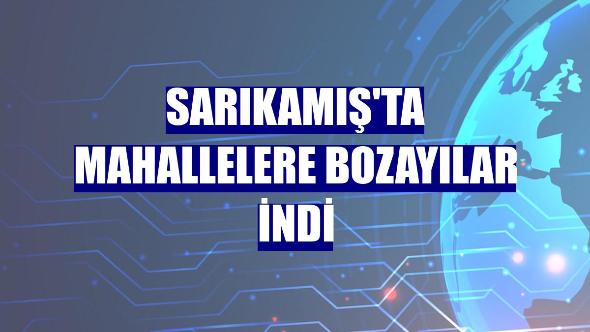 Sarıkamış'ta mahallelere bozayılar indi