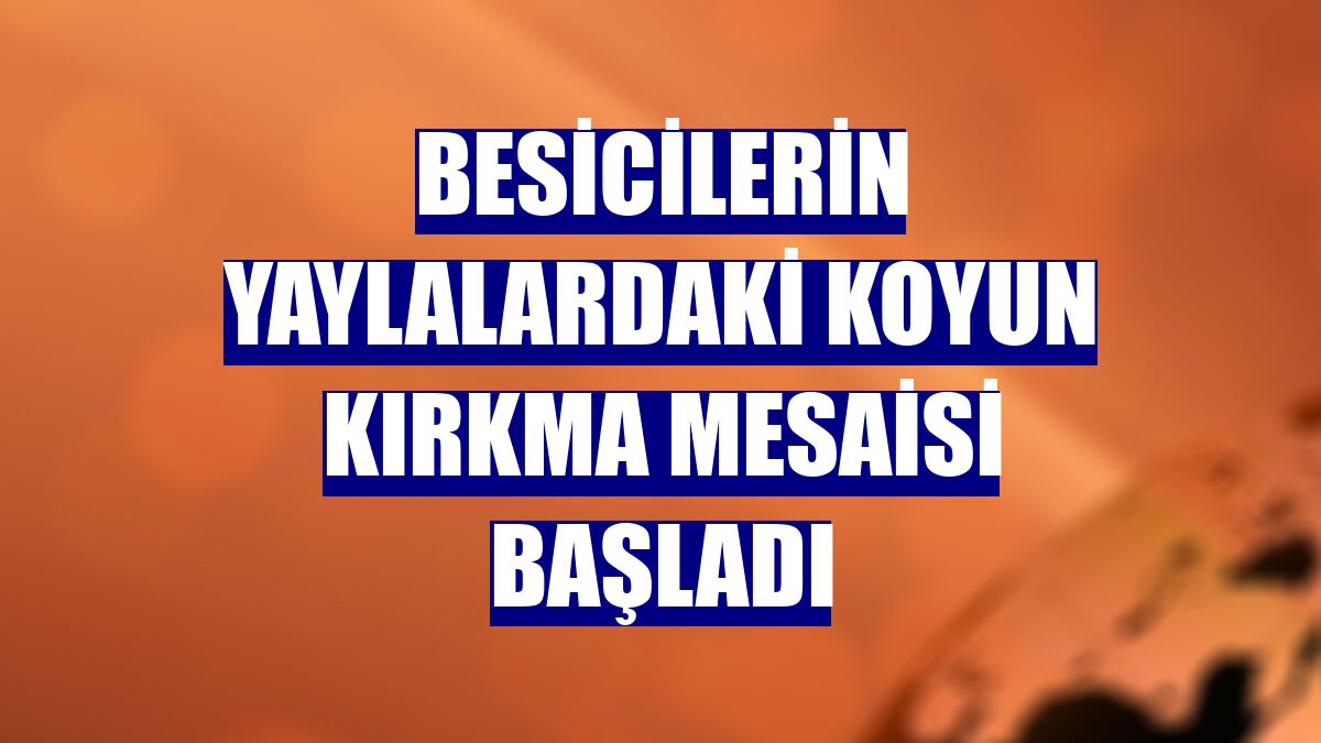 Besicilerin yaylalardaki koyun kırkma mesaisi başladı