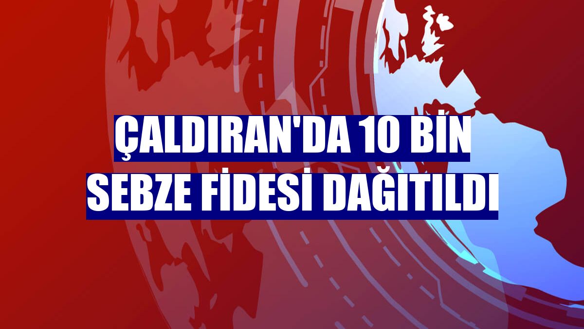 Çaldıran'da 10 bin sebze fidesi dağıtıldı