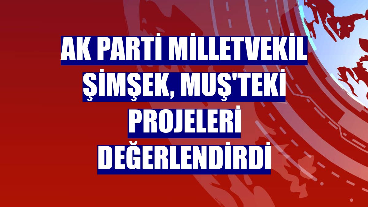 AK Parti Milletvekil Şimşek, Muş'teki projeleri değerlendirdi