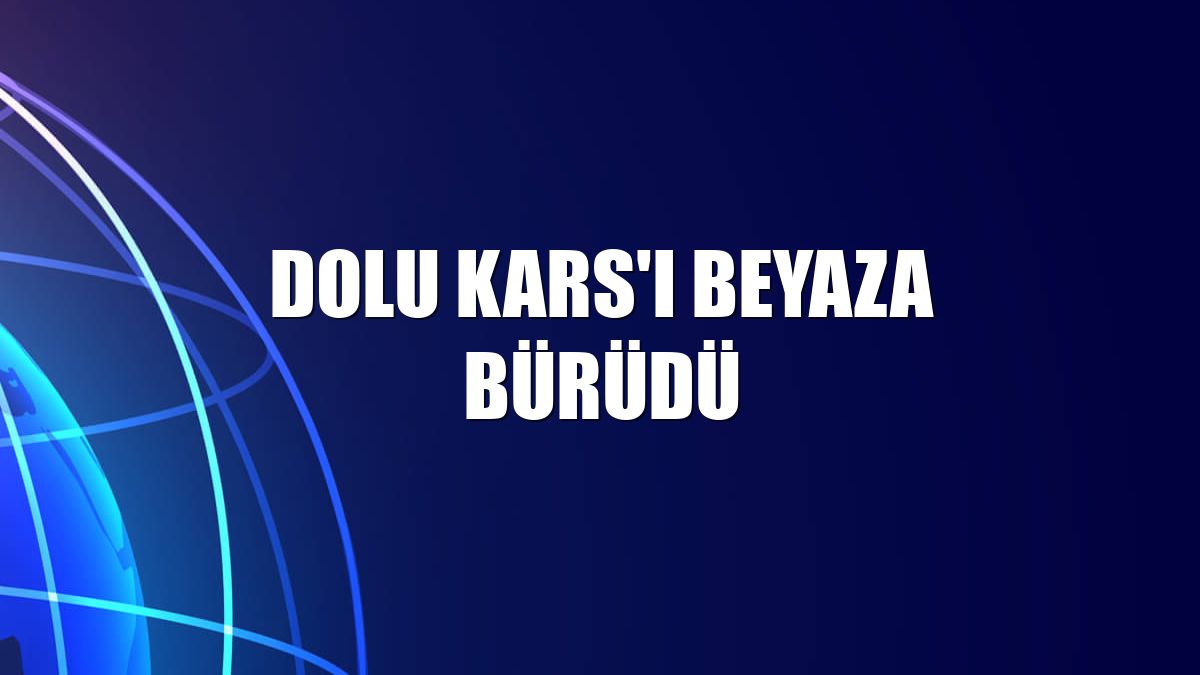 Dolu Kars'ı beyaza bürüdü