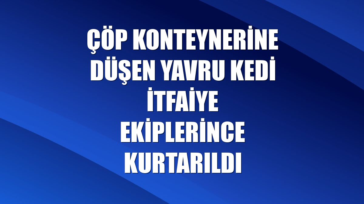 Çöp konteynerine düşen yavru kedi itfaiye ekiplerince kurtarıldı