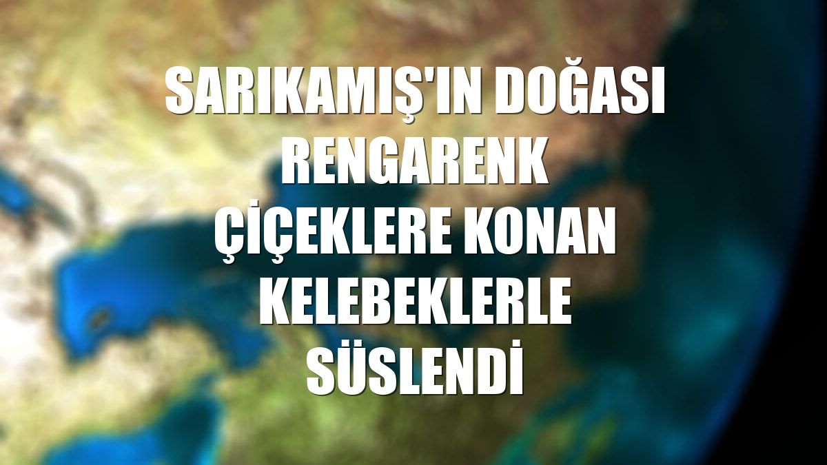 Sarıkamış'ın doğası rengarenk çiçeklere konan kelebeklerle süslendi
