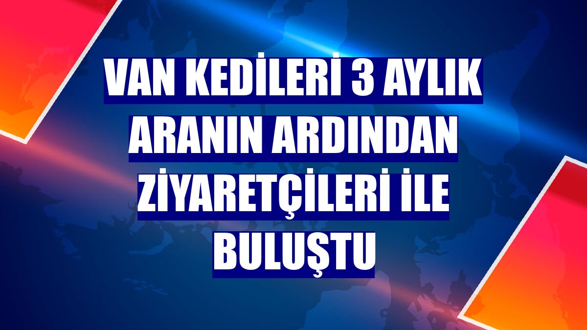 Van kedileri 3 aylık aranın ardından ziyaretçileri ile buluştu