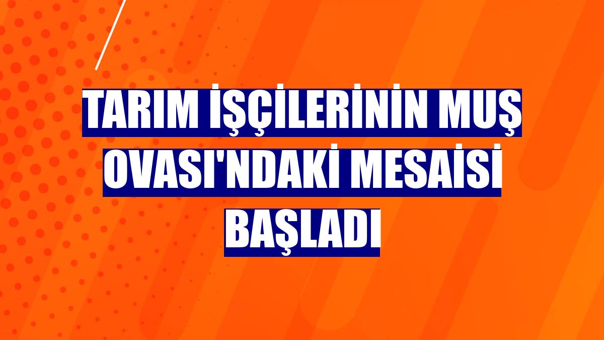 Tarım işçilerinin Muş Ovası'ndaki mesaisi başladı