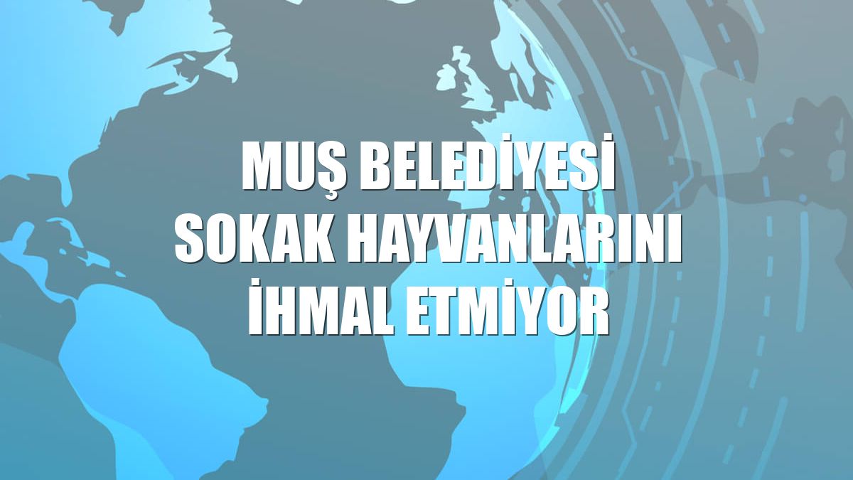 Muş Belediyesi sokak hayvanlarını ihmal etmiyor