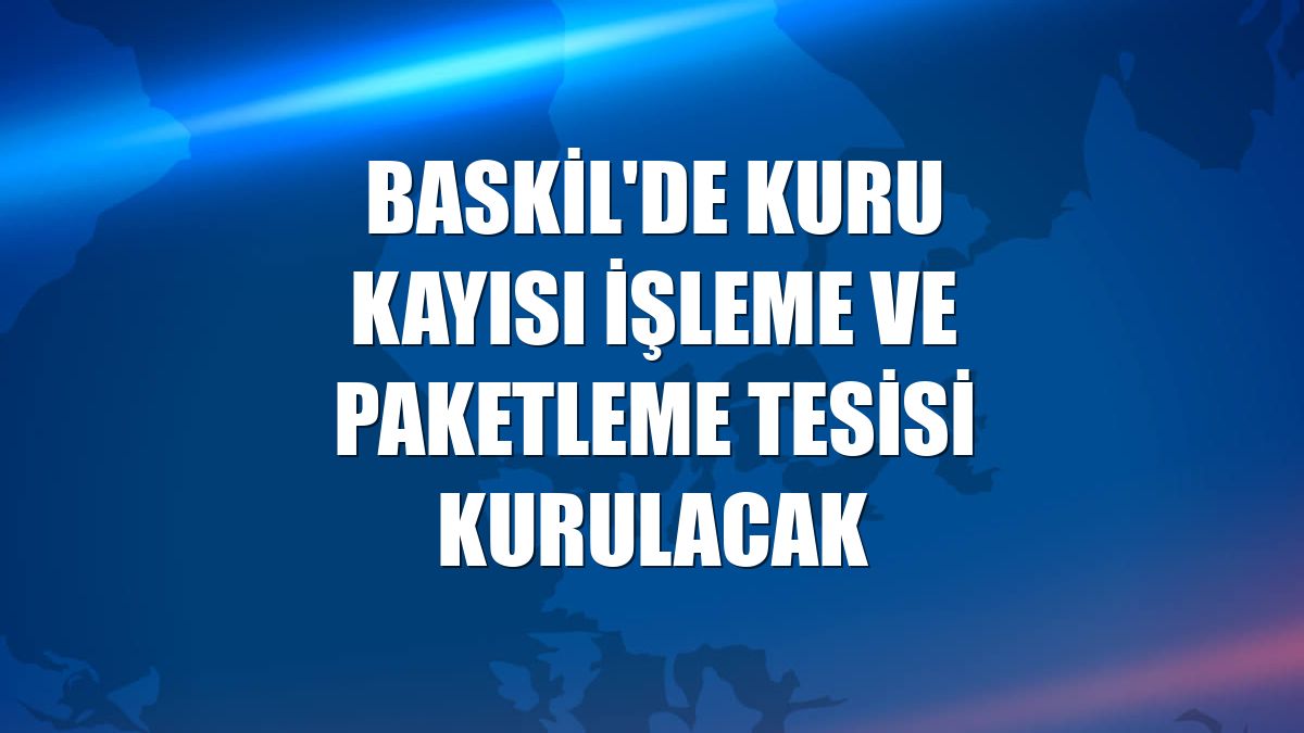 Baskil'de kuru kayısı işleme ve paketleme tesisi kurulacak