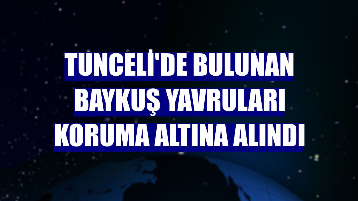 Tunceli'de bulunan baykuş yavruları koruma altına alındı