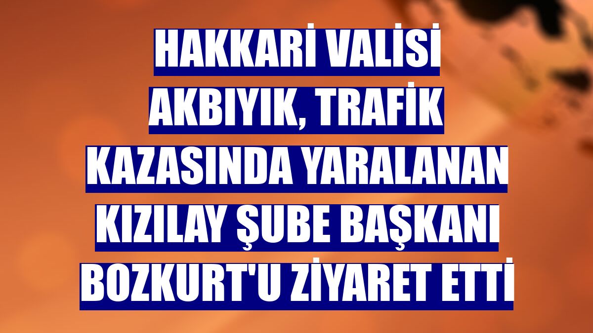 Hakkari Valisi Akbıyık, trafik kazasında yaralanan Kızılay Şube Başkanı Bozkurt'u ziyaret etti
