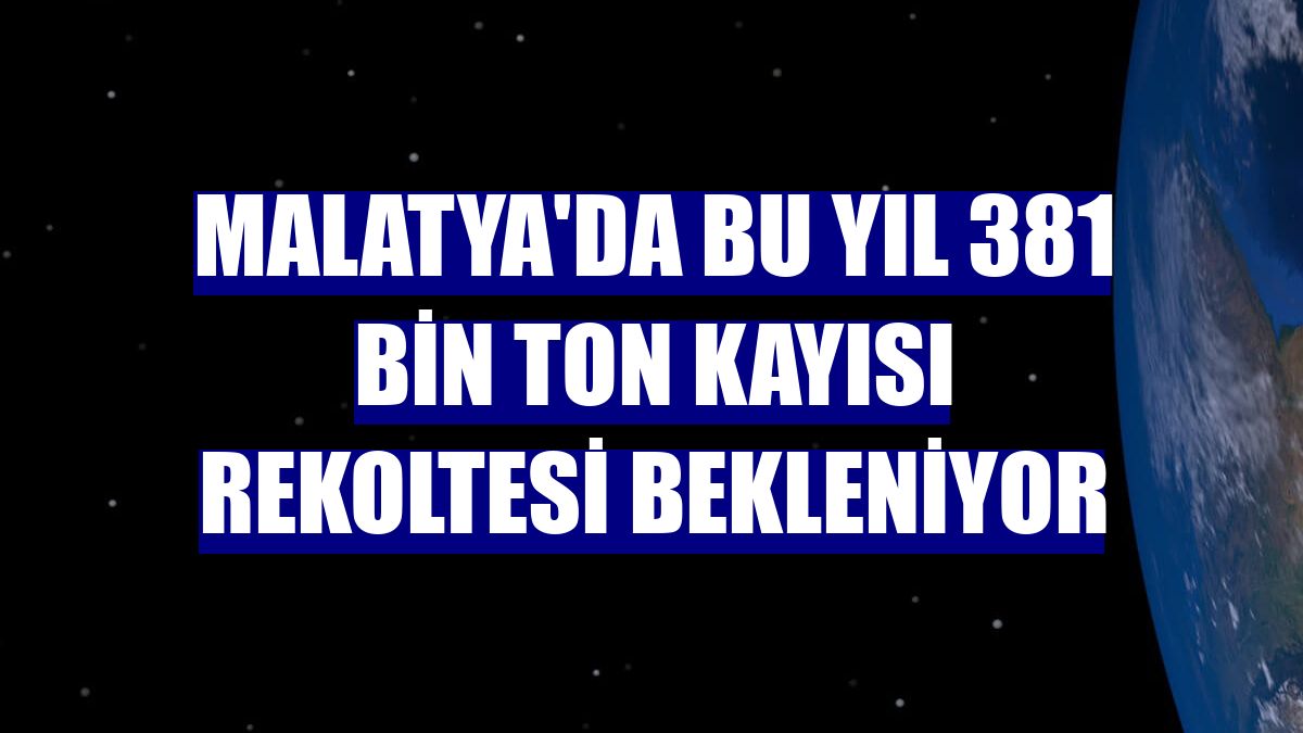 Malatya'da bu yıl 381 bin ton kayısı rekoltesi bekleniyor